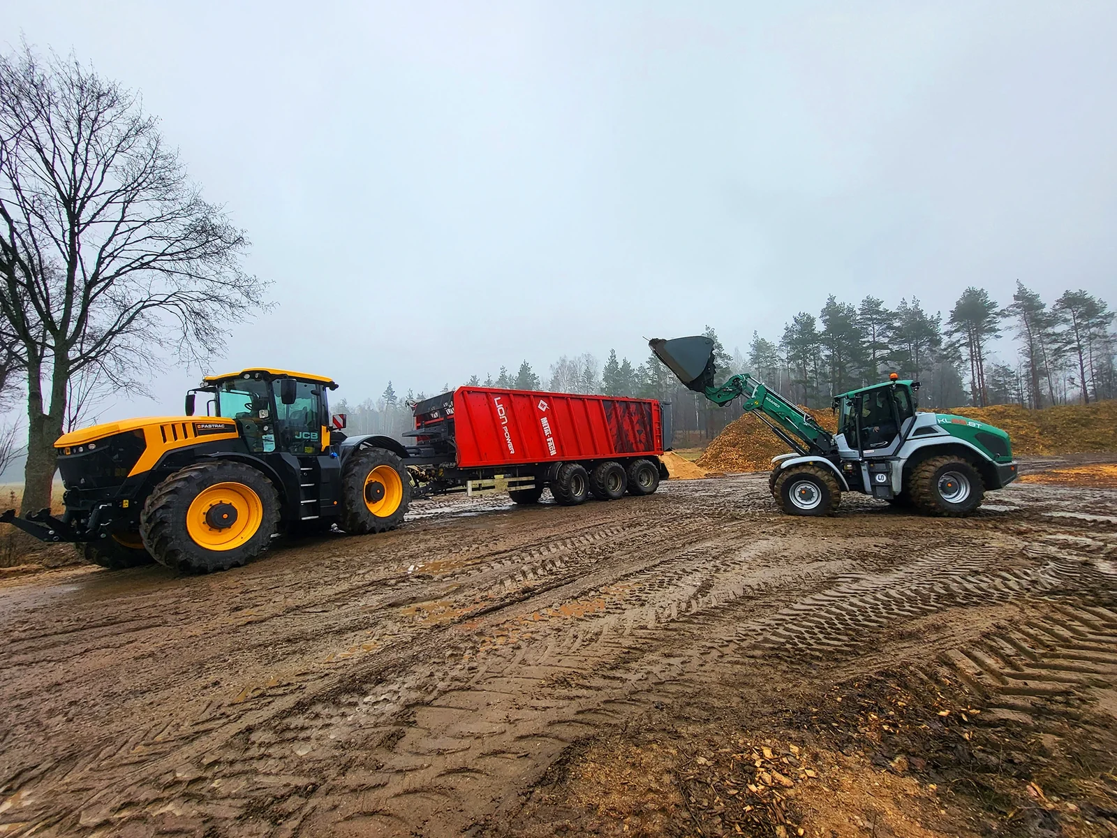 Metal-Fach T951/6 LionPower